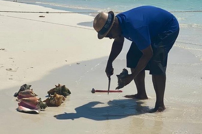 3hr Seaside Scavenger hunt - Is $140 per person good value?