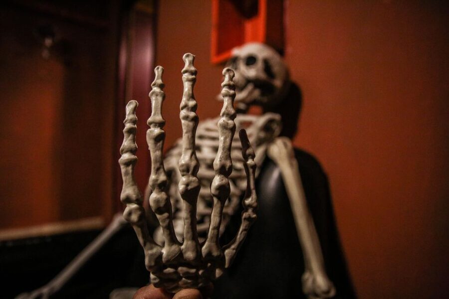 Barcelona: Escape Room Experience and Sailing Cruise - Choosing between The Art Collector and The Harbor Academy