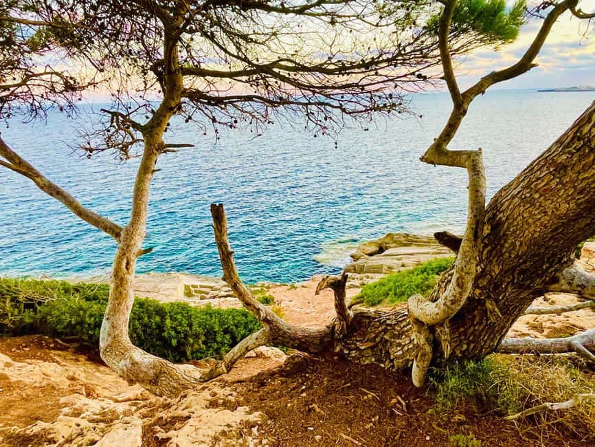 Cala Millor: real treasure hunt in natural reserve, fun walk - Key points to know before you book