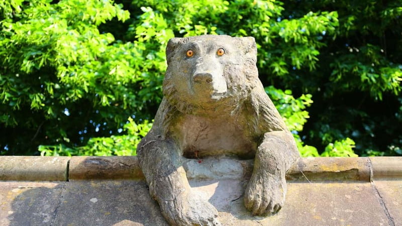 Cardiff: City Walking Tour & Exploration Game - What to bring and how to plan the day