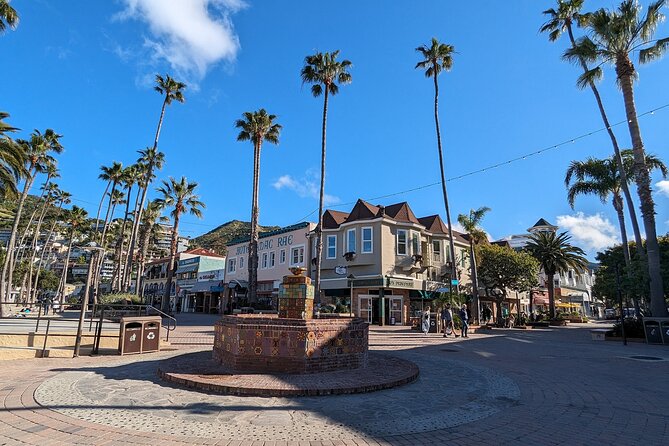 Catalina Scavenger Hunt Walking Tour and Game - Avalon turns into a walking game