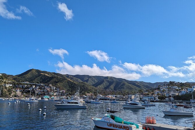 Catalina Scavenger Hunt Walking Tour and Game - The Catalina Island Casino stop