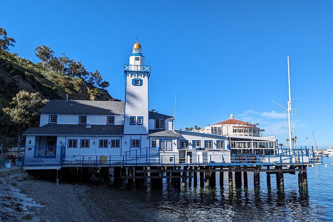 Catalina Scavenger Hunt Walking Tour and Game - Who will enjoy this Avalon activity