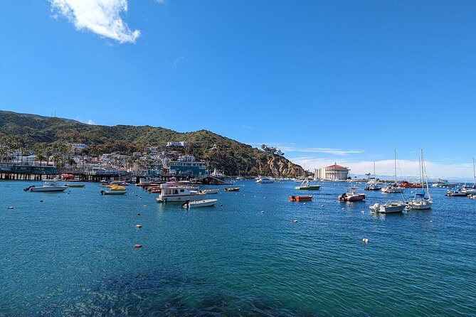 Catalina Scavenger Hunt Walking Tour and Game - Exploring Avalon through 19 challenges