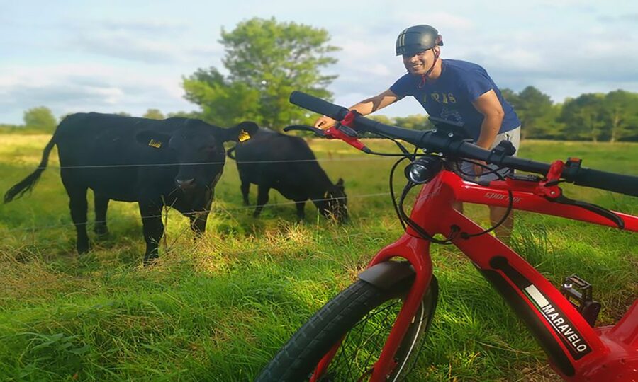 Copenhagen: Private Forgotten Giants E-Bike Treasure Hunt - Albertslund and the return through green spaces