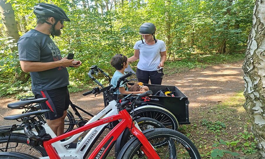 Copenhagen: Private Forgotten Giants E-Bike Treasure Hunt - Why the electric bike changes the experience
