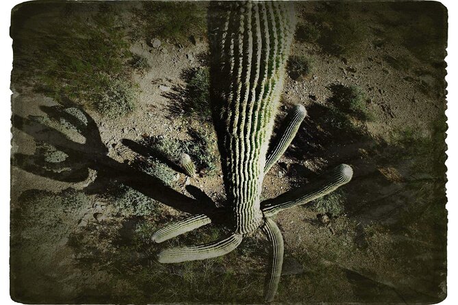 Creative Soul Scavenger Hunt(Sabino Canyon&Catalina Park,Tucson) - Who will enjoy this most