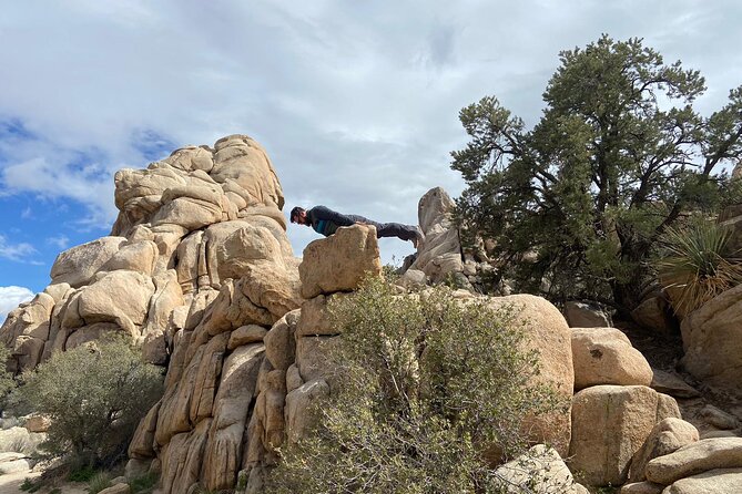 CreativeSoul ScavengerHunt(Hidden Valley,Joshua Tree)Remote Host - Hidden Valley turns a short walk into a group game