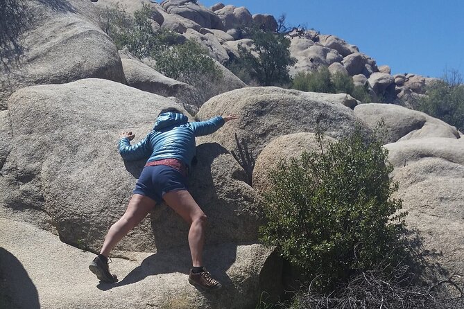 CreativeSoul ScavengerHunt(Hidden Valley,Joshua Tree)Remote Host - Why families can get more from this than a normal hike
