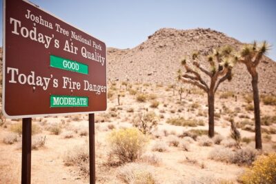 CreativeSoul ScavengerHunt(Hidden Valley,Joshua Tree)Remote Host