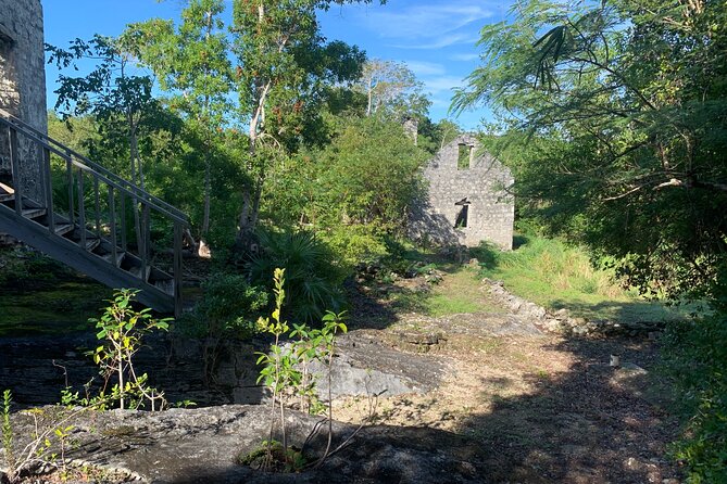 Discovery Tour and Treasure Hunt ( North and Middle Caicos) - Flamingo Pond: a quick wildlife stop