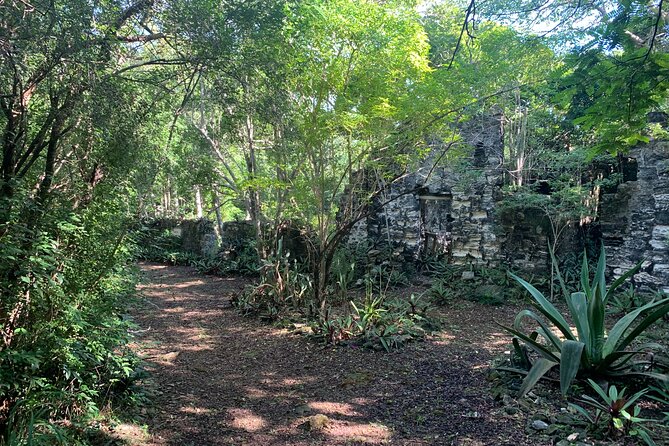 Discovery Tour and Treasure Hunt ( North and Middle Caicos) - Conch Bar Caves are fascinating, but not easy