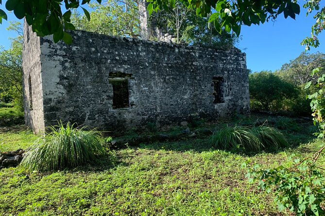 Discovery Tour and Treasure Hunt ( North and Middle Caicos) - Cottage Pond and the island’s underground water