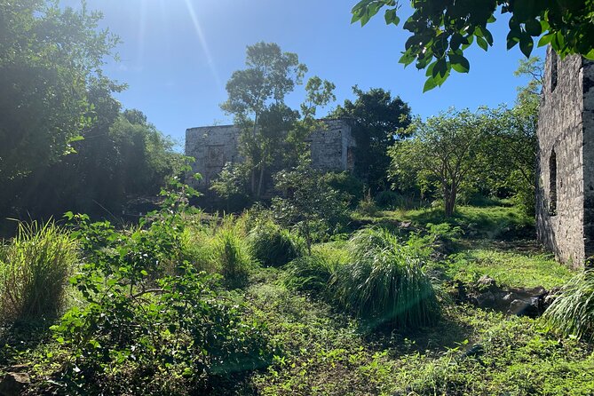 Discovery Tour and Treasure Hunt ( North and Middle Caicos) - Plantation history and the changing itinerary