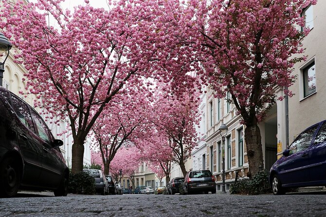 e-Scavenger hunt Bonn: Explore the city at your own pace - Bonn sightseeing with a playful twist