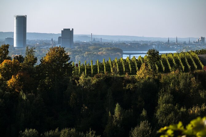 e-Scavenger hunt Bonn: Explore the city at your own pace - Bonn Minster and the old churches