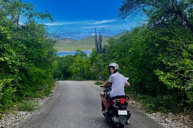 e-Scavenger hunt by car or scooter: 'Explore the Rincon Valley' - Cadushy Distillery and an unusual local taste