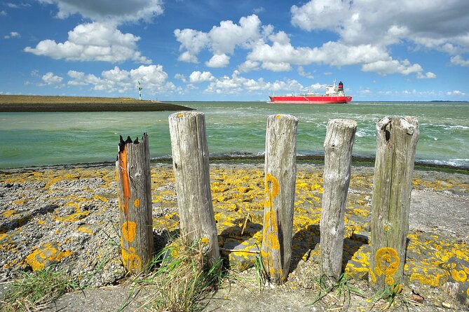 e-Scavenger hunt Terneuzen: Explore the city at your own pace - The Scheldetheater and modern Terneuzen