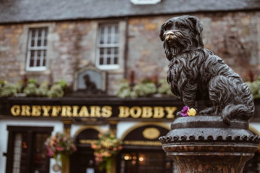 Edinburgh: Royal Mile Walking Tour & Exploration Game - Booking flexibility and practical timing