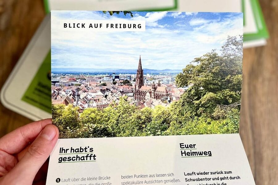 Freiburg im Breisgau: Scavenger Hunt Self-Guided Tour - Who should book this Freiburg walk?