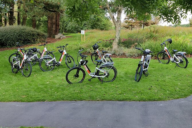 Galway City E-Bike Scavenger Hunt Game - Traffic, safety, and the right riding style