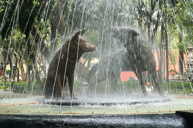 Hidden Gems of Mexico City: Exploration Game and Tour - The 1896 fountain in the orchard