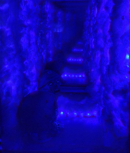 İstanbul: Frankenstein House of Horror, Escape Room Game - The overall mood: frightening, social, and a little silly