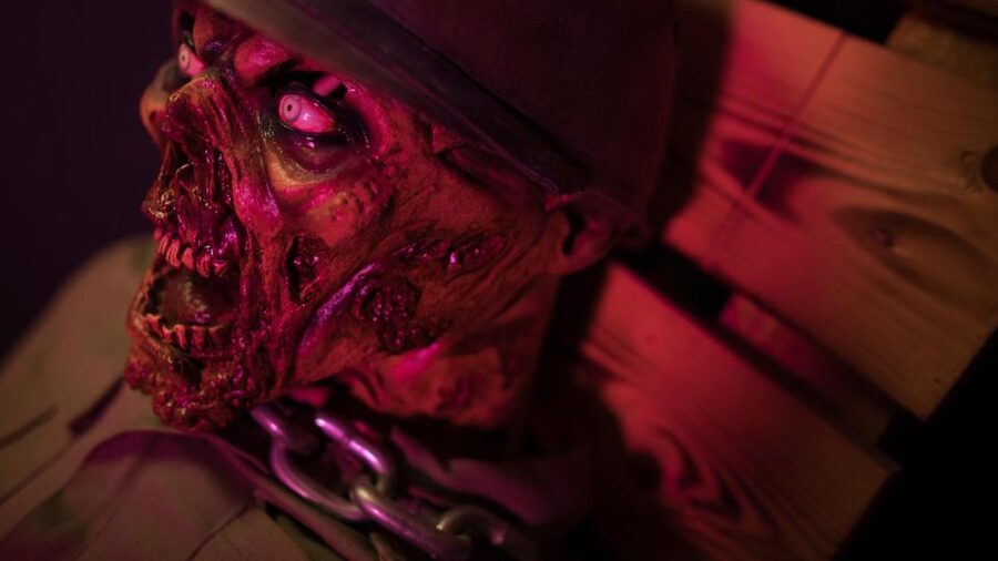 İstanbul: Frankenstein House of Horror, Escape Room Game - What happens during the 45-minute game
