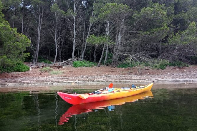 Kayak Treasure Hunt in Balearic Islands - Who will enjoy this outing most