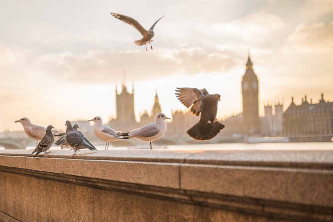 London Scavenger Hunt and Highlights Self-Guided Tour - Starting at Westminster Station and Parliament Square