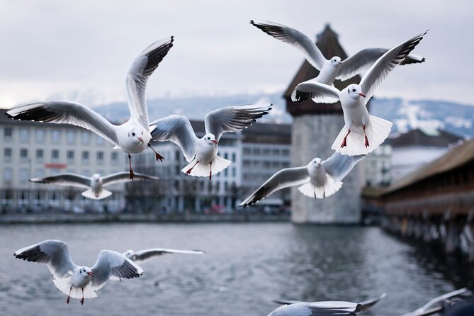 Lucerne Scavenger Hunt and Highlights Self Guided Audio Tour - A self-guided way to get your Lucerne bearings