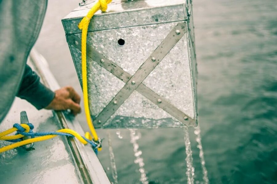 Maine: Belfast Family Treasure Hunt - A pirate hunt from Belfast City Harbor