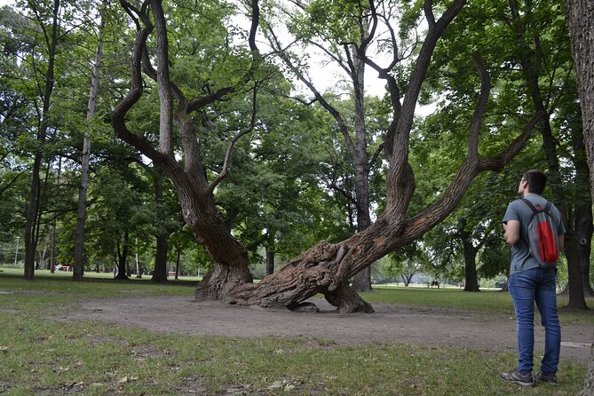 Margaret Island Mystery: Self-Guided Puzzle Quest in Budapest - Stop 3: Rózsakert Shopping Center