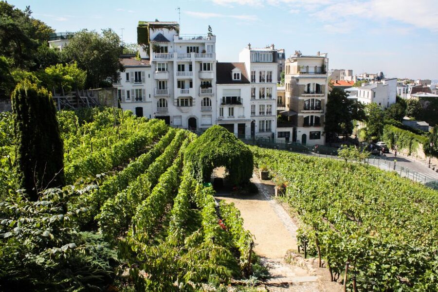 Montmartre: Private Treasure Hunt for Families and Kids - Should you book this private treasure hunt?