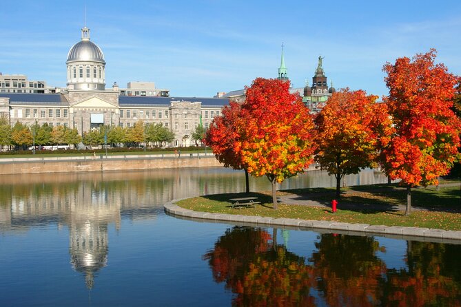 Montreal Scavenger Hunt and Highlights Self Guided Audio Tour - How the scavenger hunt works