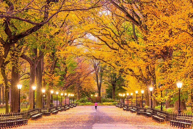 Movie Magic in Central Park: Self-Guided Puzzle Adventure - Key points to know before you book