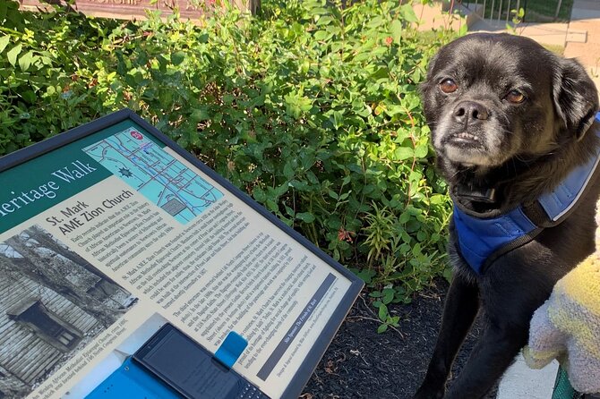 Mysteries on the Move: Scavenger Hunt in Savannah - Chippewa Square starts the story