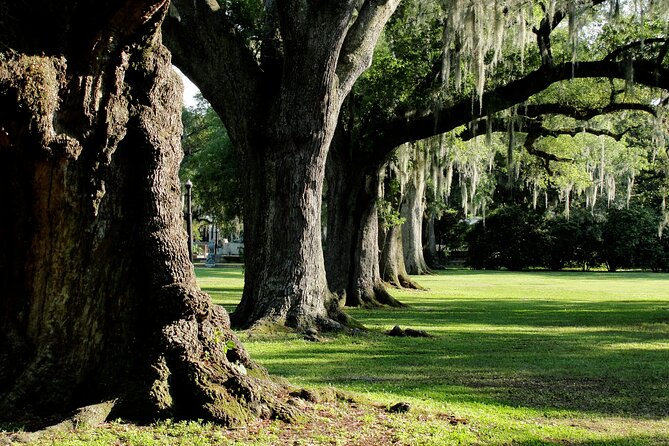 New Orleans: City Park Exploration Game and Tour - The Botanical Gardens and the extra ticket