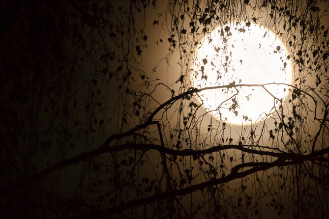 Nîmes: Escape game outdoor team on the theme of magic - What the Nîmes setting adds, and what it does not