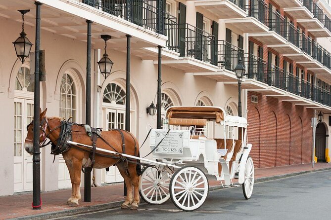 Nutty New Orleans Scavenger Hunt - Key points to know before you book
