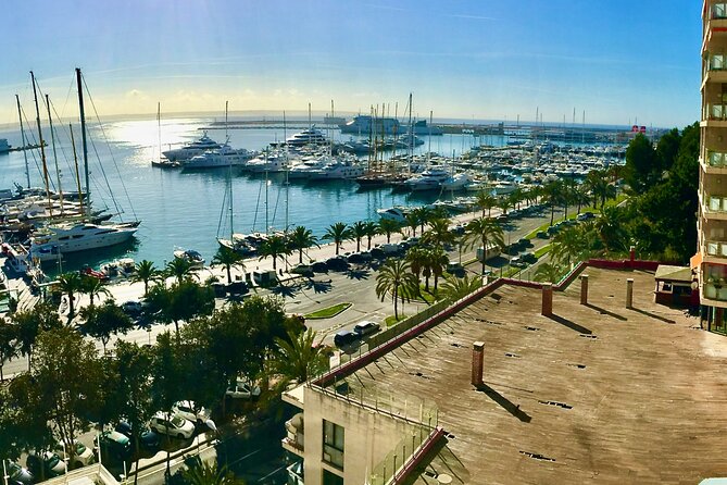 Palma de Mallorca Self-Guided Scavenger Hunt and Tour - Plaça de Sa Feixina gives the walk room to breathe