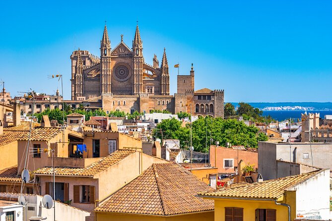 Palma de Mallorca Self-Guided Scavenger Hunt and Tour - Why the private format works for families and friends