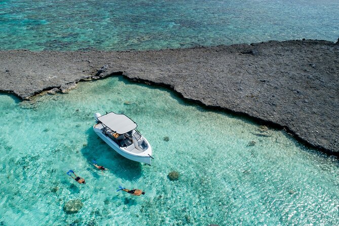 Private 4 Hours Reef Discovery Luxury Private Treasure Hunt in Bora Bora - Key points at a glance