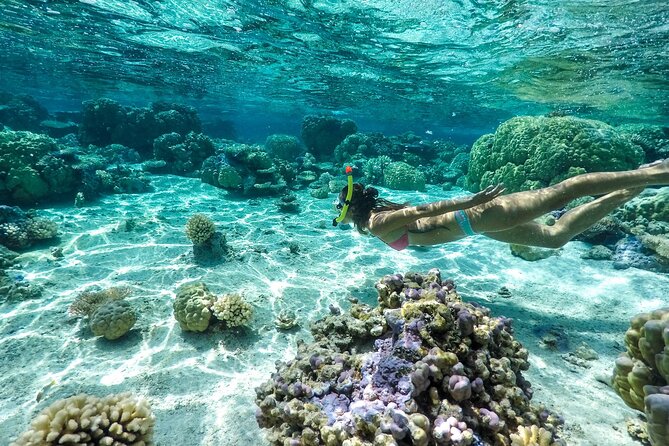 Private 4 Hours Reef Discovery Luxury Private Treasure Hunt in Bora Bora - Fabien, Pierre, and the value of a good captain