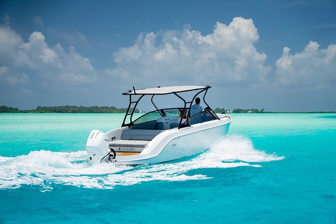 Private 4 Hours Reef Discovery Luxury Private Treasure Hunt in Bora Bora - Who should book this Bora Bora treasure hunt?