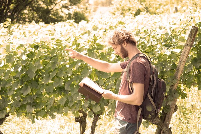 Private: Outdoor Escape Game Tuniberg: Eduardo & the Wine Secret - Following Eduardo’s clues through Tuniberg