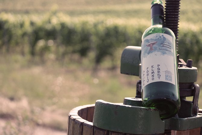 Private: Outdoor Escape Game Tuniberg: Eduardo & the Wine Secret - The equipment and the final reveal