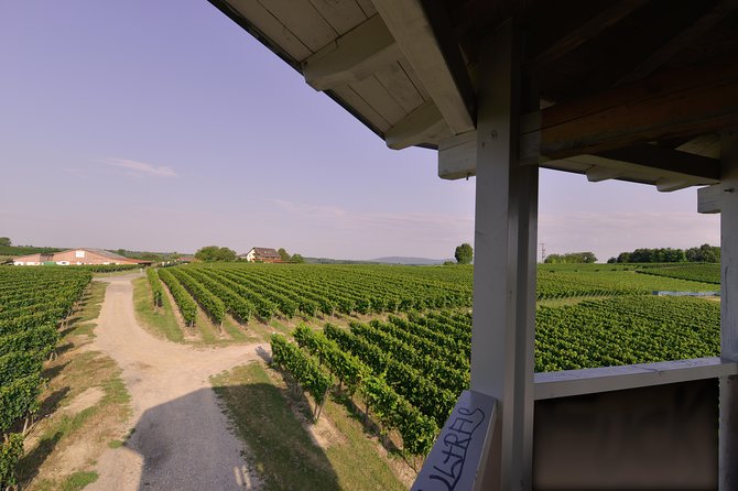 Private: Outdoor Escape Game Tuniberg: Eduardo & the Wine Secret - Who gets the best value from the price?