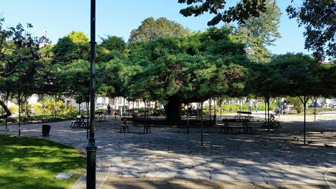 Queer Lisbon - A Treasure Hunt in LGBT History - Why this walk reveals a different Lisbon