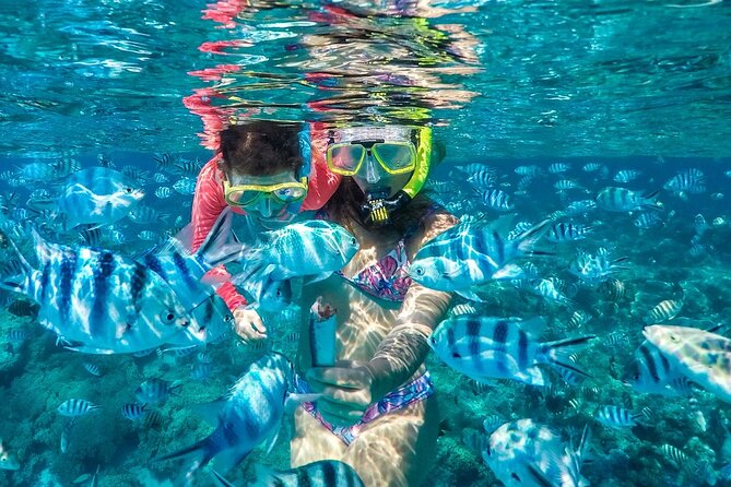 Reef Discovery Private Treasure Hunt - Why the treasure hunt works better than a standard lagoon cruise